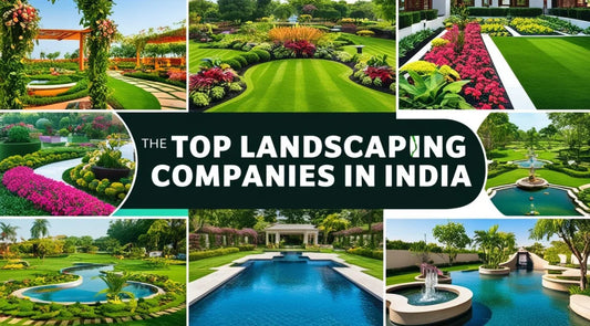 Top Landscaping Companies in India – Creating Beautiful Green Spaces