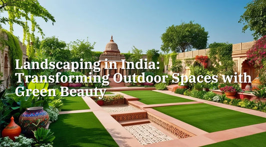 Landscaping in India: Transforming Outdoor Spaces with Green Beauty