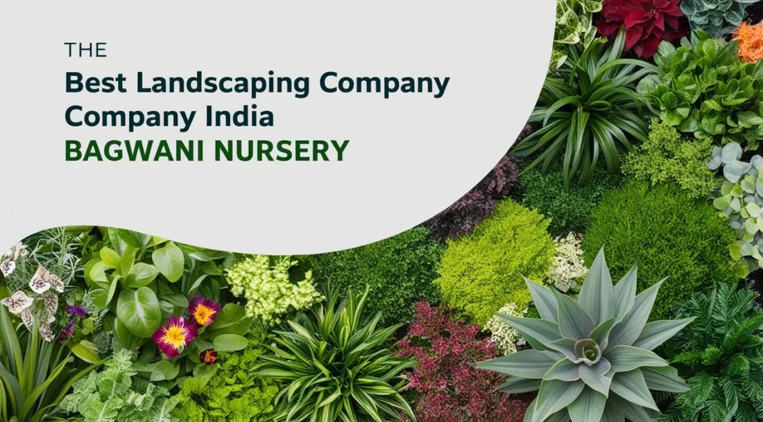 Best Landscaping Company in India – Bagwani Nursery