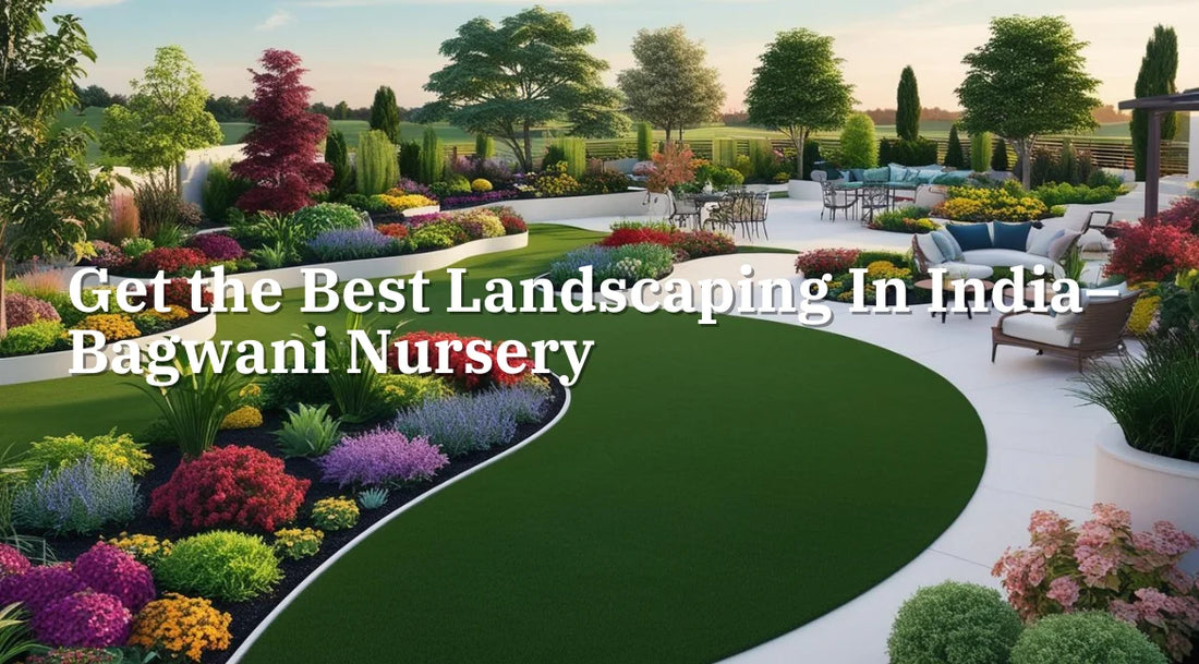 Find the Best Landscaping Near Me – Bagwani Nursery