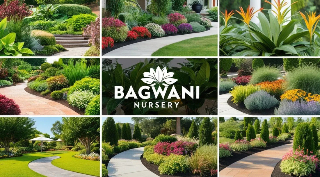 Best Landscaping Trees for Beautiful Green Spaces – Bagwani Nursery